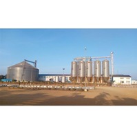 Silo per Cereali Verticale in Acciaio Inossidabile di Qualità Premium, Facile Manutenzione, Ideale per Stoccaggio Industriale, Disponibile per la Vendita