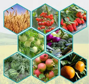 Granule d'engrais organique biologique Yuedong pour la culture agricole améliorant la croissance des plantes du sol engrais organique