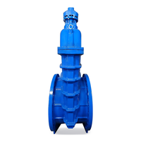 Vanne à opercule en fonte ductile de grande taille avec sièges PTFE/EPDM PN10/PN16, conformité BS EN DIN, personnalisable OEM pour les stations de traitement de l'eau