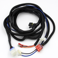 Harnais de câblage électronique automobile personnalisé pour injecteur de carburant de camion, moteur LS - PVC+Cuivre 12V/30V