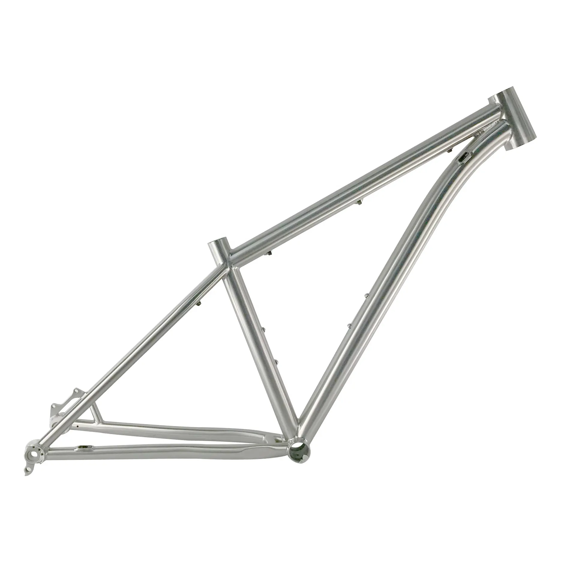 เฟรมจักรยานเสือภูเขาไทเทเนียม Hardtail สำหรับล้อ29er