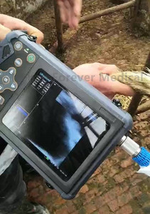 Échographe Vétérinaire Portable FOREVERMED pour Animaux d'Élevage <span class=keywords><strong>Ovin</strong></span> Bovin Porcin – Machine d'<span class=keywords><strong>Échographie</strong></span> Palmar pour Test de Gestation - Product Image 2