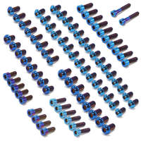 Kit de vis en titane avec embout hexagonal, tête ronde M6x20mm DIN912, vis légères anodisées, ensemble de 55 pièces pour Surron Ultra Bee