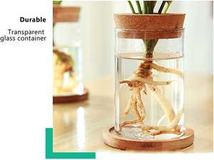 Stations de propagation de terrariums de bureau en gros, vases cylindriques pour plantes aériennes et fleurs aquatiques pour la maison, le bureau et le jardin - Product Image 4