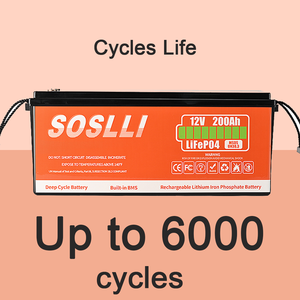 Batterie al Litio 24V Pacco Batteria Lifepo4 12V 100Ah 200Ah 24V 100Ah 200Ah 300Ah 460Ah Pacco Batteria agli Ioni di Litio a Ciclo Profondo 24V - Product Image 4