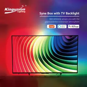 Tv 백라이트 led tv 백라이트 스트립 라이트 Google Tuya rgbic led 스트립 조명 HDMI TV 동기화 상자 카메라 없음 스마트 스트립 조명