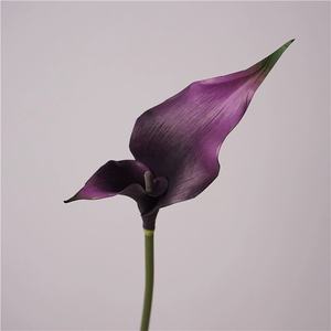 C-015 Calla artificielle <span class=keywords><strong>de</strong></span> haute qualité au toucher réel pour mariage, fête des mères, décoration exquise pour bouquets <span class=keywords><strong>de</strong></span> <span class=keywords><strong>mariée</strong></span> - Product Image 5