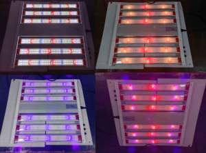 أضواء نمو النباتات LED ثلاثية الطيف للزراعة الداخلية ونمو النباتات - Product Image 2