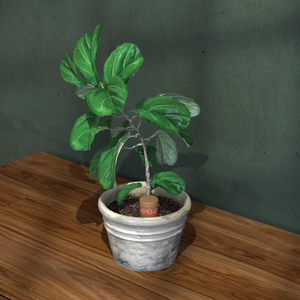 Petit pot d'olla de jardin Pot en argile personnalisé Pot en <span class=keywords><strong>terre</strong></span> <span class=keywords><strong>cuite</strong></span> auto-arrosant pour un <span class=keywords><strong>arrosage</strong></span> efficace et une irrigation des plantes - Product Image 6