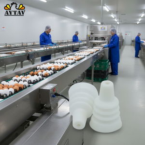 Nouvel équipement de transport d'œufs de qualité supérieure en gros - Élévateur d'œufs sous vide en plastique AYTAV, garantie 1 an pour l'utilisation avicole (toutes saisons) - Product Image 3