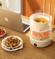 Cuiseur à œufs automatique domestique 220V, boîtier en plastique, alimentation USB, classe énergétique efficace, arrêt automatique, multifonction, cuiseur vapeur pour œufs