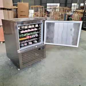 Prosky Industrial Mobile Instant Freezer Air Trolley Flash Blast Freezer In Philippines For Fish Chicken