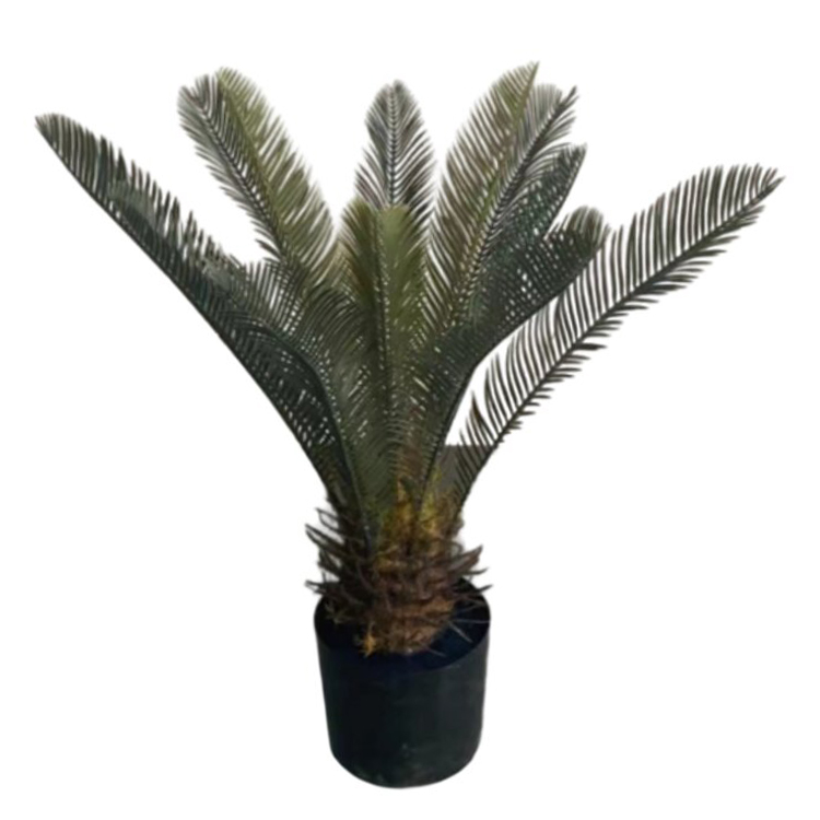 रियल टच उच्च नकली बोन्साई कृत्रिम साबूदाना Cycas पेड़ Cycad संयंत्र हरे पौधों के साथ सजावट के लिए प्रतिस्पर्धी मूल्य