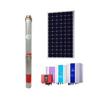 Pompe submersible solaire pour puits profond en acier inoxydable haute efficacité DC pour l'irrigation agricole et l'abreuvement du bétail