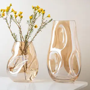 北欧スタイルの創造的な不規則な形のガラス花瓶リビングルーム琥珀色の水養殖花瓶卸売