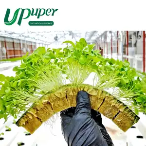 Agricultural UPuper 1.5 Inch 98 Cubes Agricultural Growing Medium Rock Wool Cubes Hydroponic Grow