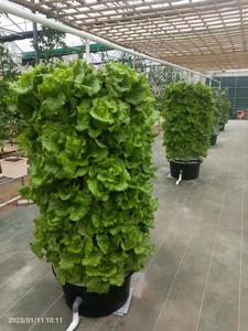 2025 nuevo material ABS <span class=keywords><strong>de</strong></span> grado alimenticio mejorado <span class=keywords><strong>cultivo</strong></span> sin suelo 48/60 plantas disponibles torre <span class=keywords><strong>de</strong></span> <span class=keywords><strong>cultivo</strong></span> conjunto completo - Product Image 5
