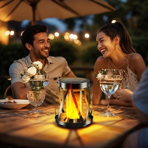 Xinhuiyuan <b>Solar</b> Garden <b>Lantern</b> Warm Light <b>Outdoor</b> Clip Light 50W Wrought Iron Design Landscape Lighting - Product Image 5