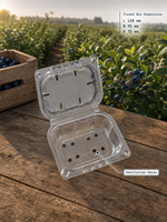 Conteneur en plastique recyclé RPET à clapet, capacité 250g, prêt à être expédié, G250F, boîte d'emballage pour fruits, pour myrtilles