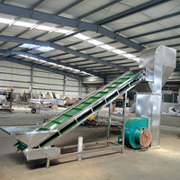 Automatische hete chilipepersteel verwijderende zaadseparator en kleur sorteermachine met motor, hoge efficiëntie