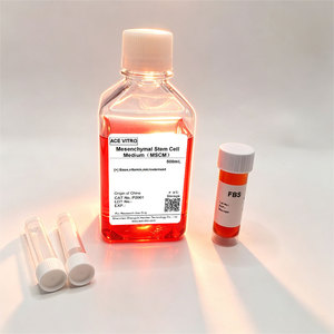 Kit <span class=keywords><strong>di</strong></span> Media <span class=keywords><strong>di</strong></span> Coltura per Cellule Staminali ACE Vitro Senza Siero MSCM OEM 500ml, Garanzia 1 Anno, Supporto Personalizzato per Ricerca <span class=keywords><strong>di</strong></span> Laboratorio Mesencalemica - Product Image 6