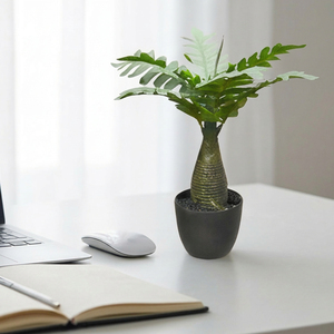 Plante artificielle succulente en pot de table, décoration intérieure pour la maison et le bureau, arrangement moderne de plantes vertes artificielles, idée cadeau - Product Image 1