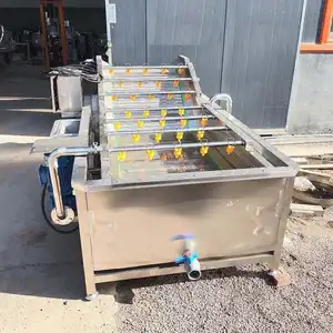 Commerciële Automatische Groentewasmachine Fruit Avocado Aardappel Groente Bubbel Reinigingsmachine
