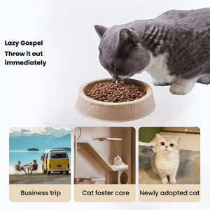 Tazón de Comida para Mascotas Desechable Ecológico a Precio Mayorista, Tazón para Gatos al Aire Libre a Prueba de Fugas, Sólido y sin Necesidad de Lavar para Gatos Vagabundos - Product Image 3