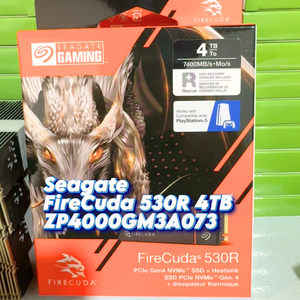 Untuk SSD Seagate FireCuda 530R dengan Heatsink 4TB Internal Solid State Drive M.2 PCIe Gen4 NVMe 7400MB/s ZP4000GM3A073 - Product Image 1