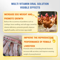 Fournisseur OEM de vitamines et de minéraux liquides multivitaminés pour bovins, ovins, caprins, veaux et agneaux, solution orale pour le bétail