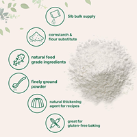 OEM/ODM Arrow root Powder Nicht aromatisiertes Verdickung mittel zum Kochen und Backen natürlicher Lebensmittel zutat ohne GVO, gluten frei