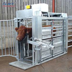Chute de contention mobile et portable <span class=keywords><strong>pour</strong></span> bovins avec balance numérique, <span class=keywords><strong>pour</strong></span> une utilisation sécurisée lors de la coupe des sabots, modèle hydraulique à compression <span class=keywords><strong>pour</strong></span> ferme - Product Image 1