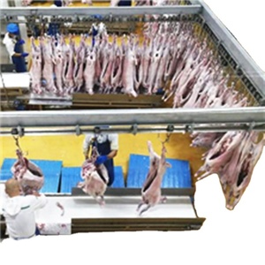 Equipo de matanza de <span class=keywords><strong>cordero</strong></span> <span class=keywords><strong>Halal</strong></span> para línea de proceso de carne de matadero de carnicero de <span class=keywords><strong>cordero</strong></span> - Product Image 1