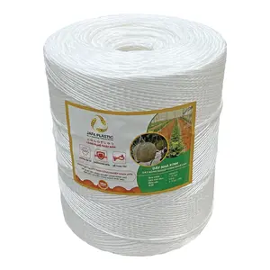 Hot Greenhouse Accessories Wholesale UV Treated GREENHOUSE TWINE for planting vegetable and fruits
