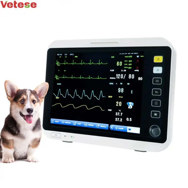 Yonker 12 inch Veterinary equipment instruments Portable Animals Multiparameter Veterinary Monitor For Vet