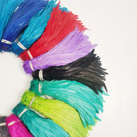 Plumes de coq blanchies et teintes, plumes de queue de coq, Coque Plumas pour fêtes, carnavals, DIY, vêtements, accessoires de décoration