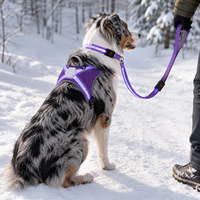 Ensemble d'aventure en plein air Qcool : Harnais, collier et laisse en nylon respirant avec LED – Vente en gros pour animaleries – Kit de promenade pour chien
