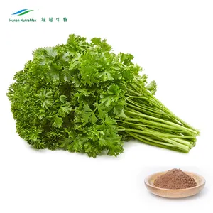 Coriander Herb Powder/ Parsley Powder/Coriandrum Sativum Powder