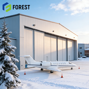 Hangar de Acero Industrial Estándar para Aviones, Larga Vida Útil, para Construcción de Aeropuertos, Suministro Global - Product Image 1