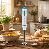 Mixeur Plongeant Professionnel de Haute Qualité pour Usine, Vente en Gros, Durable, Efficace, Haute Vitesse, pour Voiture, Restaurant, Cuisine Domestique
