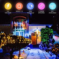 Guirlande lumineuse RGB Led, lumière multicolore 9mm ou 12mm, 5V ou 12V, adressable, Dmx, décoration de noël