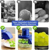 Automatische oplaadbare PP plastic multifunctionele fruit- en groenteschilmachine met roestvrijstalen mes voor thuiskeuken