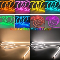 Bande LED néon DMX RGBW adressable DC24V 15*25mm, intelligente WIFI/APP/Contrôleur IP68, éclairage extérieur pour façade/fête, Tira Luces LED