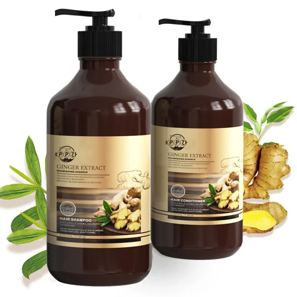 Toptancı doğal organik toplu zencefil saç büyüme şampuanı anti-saç dökülmesi kore özel etiket OEM zencefil şampuanı