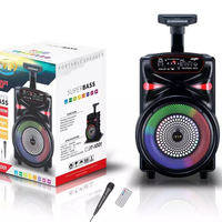 Système de sonorisation portable sans fil 8 pouces pour intérieur et extérieur, enceinte DJ stéréo, boombox sans fil