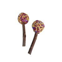 Friandises pour lapin molaire sucette pétale molaire boule d'herbe cochon d'Inde branche de pomme molaire bâton produits mâcher pour les lapins