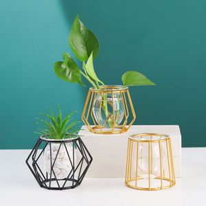 Wholesale Hydroponic Plant Vases Flower Pot Transparent Vase Iron Geometric <b>Frame</b> Glass Tank Tabletop Plants Home Bonsai Decor - Product Image 1