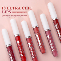 Rouge à lèvres liquide mat velours rose nude hautement pigmenté en 18 couleurs, tendance, boîte de gloss à lèvres personnalisée avec logo