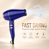 Sèche-cheveux professionnel 2000W haute puissance ionique avec moteur DC, longue durée de vie et faible bruit, sèche-cheveux compact pour salon, hôtel, voyage