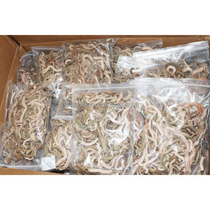 เหยื่อตกปลาแบบแห้งคุณภาพพรีเมียม ทำจากหนอนทะเล สำหรับตกปลาในน้ำเค็ม เหยื่อแห้งที่มีประสิทธิภาพ - Product Image 5